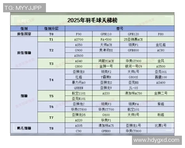 重庆羽毛球队夺冠最新羽毛球节奏TOP10榜单揭晓